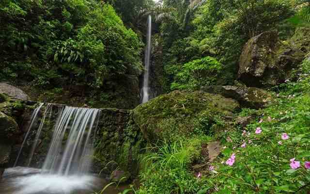 Menelusuri Keindahan Air Terjun Parang Ijo di Lereng 