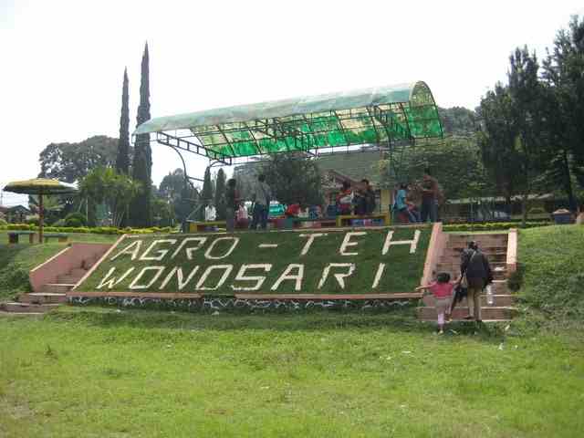 Kebun Teh Wonosari Malang