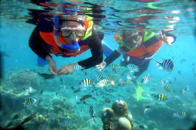 Snorkeling tidung