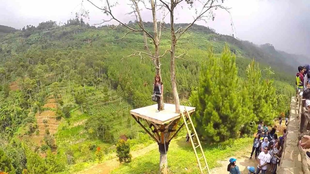 The Lodge Maribaya