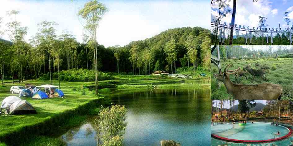 Kampung Cai Ranca Upas Kampung Cai Ranca Upas