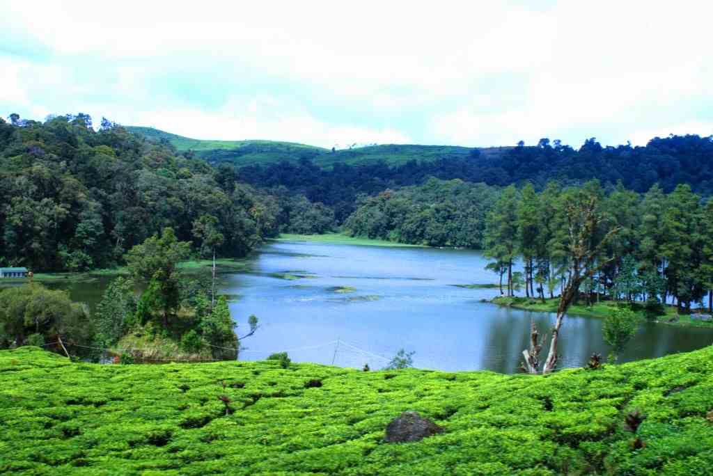 Situ Patenggang Situ Patenggang