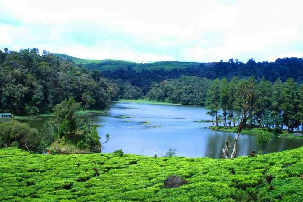 Danau Situ Patenggang