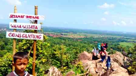 cadas gantung kuningan