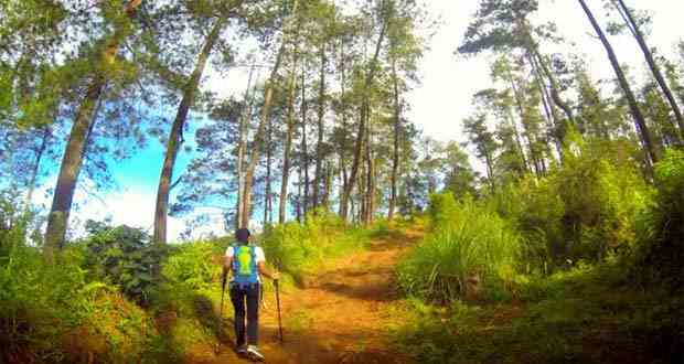 Taman Hutan JayaGiri Taman Hutan JayaGiri