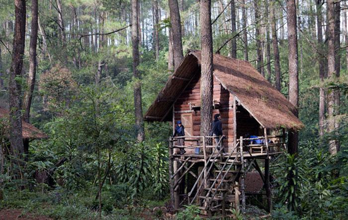 Wisata Rumah Pohon Taman Buru Gunung Masigit Kareumbi
