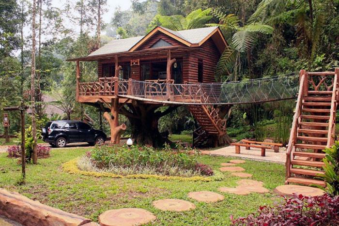 Wisata Rumah Pohon Taman Safari Indonesia